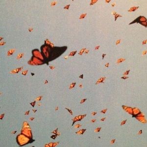 Meet your Posher, Hadley